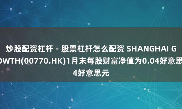 炒股配资杠杆 - 股票杠杆怎么配资 SHANGHAI GROWTH(00770.HK)1月末每股财富净值为0.04好意思元